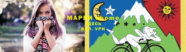 крисы Аркадак