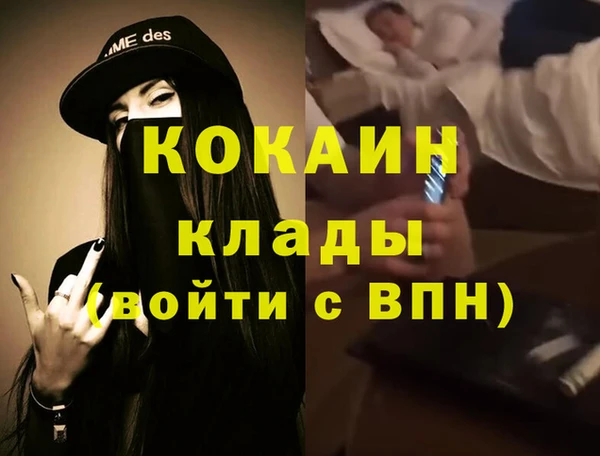 хмурый Арсеньев
