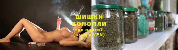 прущие грибы Армянск