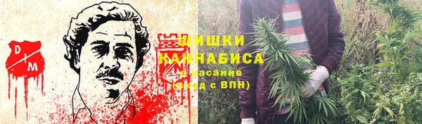 прущие грибы Армянск