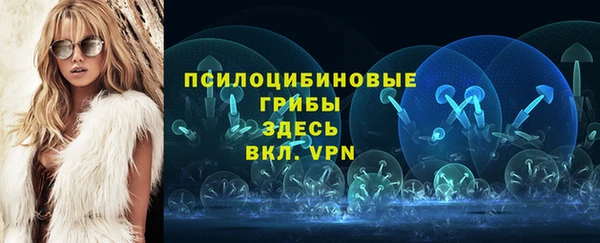 прущие грибы Армянск