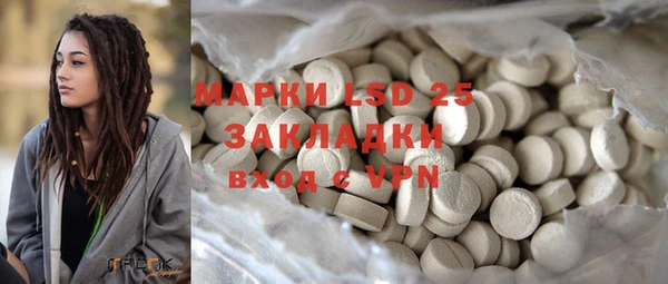 крисы Аркадак