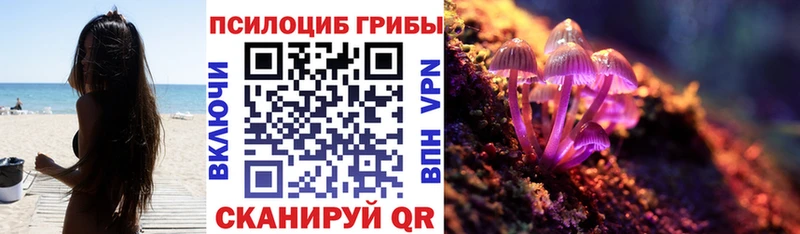 Галлюциногенные грибы ЛСД  где найти наркотики  гидра маркетплейс  Колпашево 